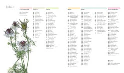 Flora (Wunderwelt Der Pflanzen) 16 Flora (Wunderwelt Der Pflanzen) -Günstiges Pflanzen Land Geschäft 27612 Flora Wunderwelt 20der 20Pflanzen 2