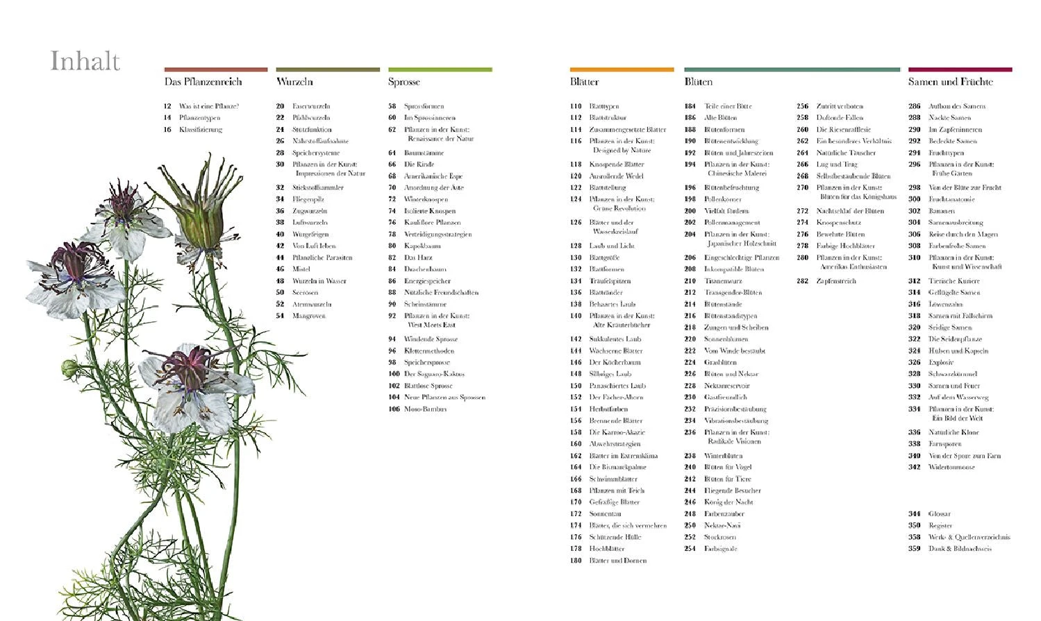 Flora (Wunderwelt Der Pflanzen) 9 Flora (Wunderwelt Der Pflanzen) – Bild 7