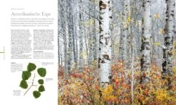 Flora (Wunderwelt Der Pflanzen) 17 Flora (Wunderwelt Der Pflanzen) -Günstiges Pflanzen Land Geschäft 27612 Flora Wunderwelt 20der 20Pflanzen 3