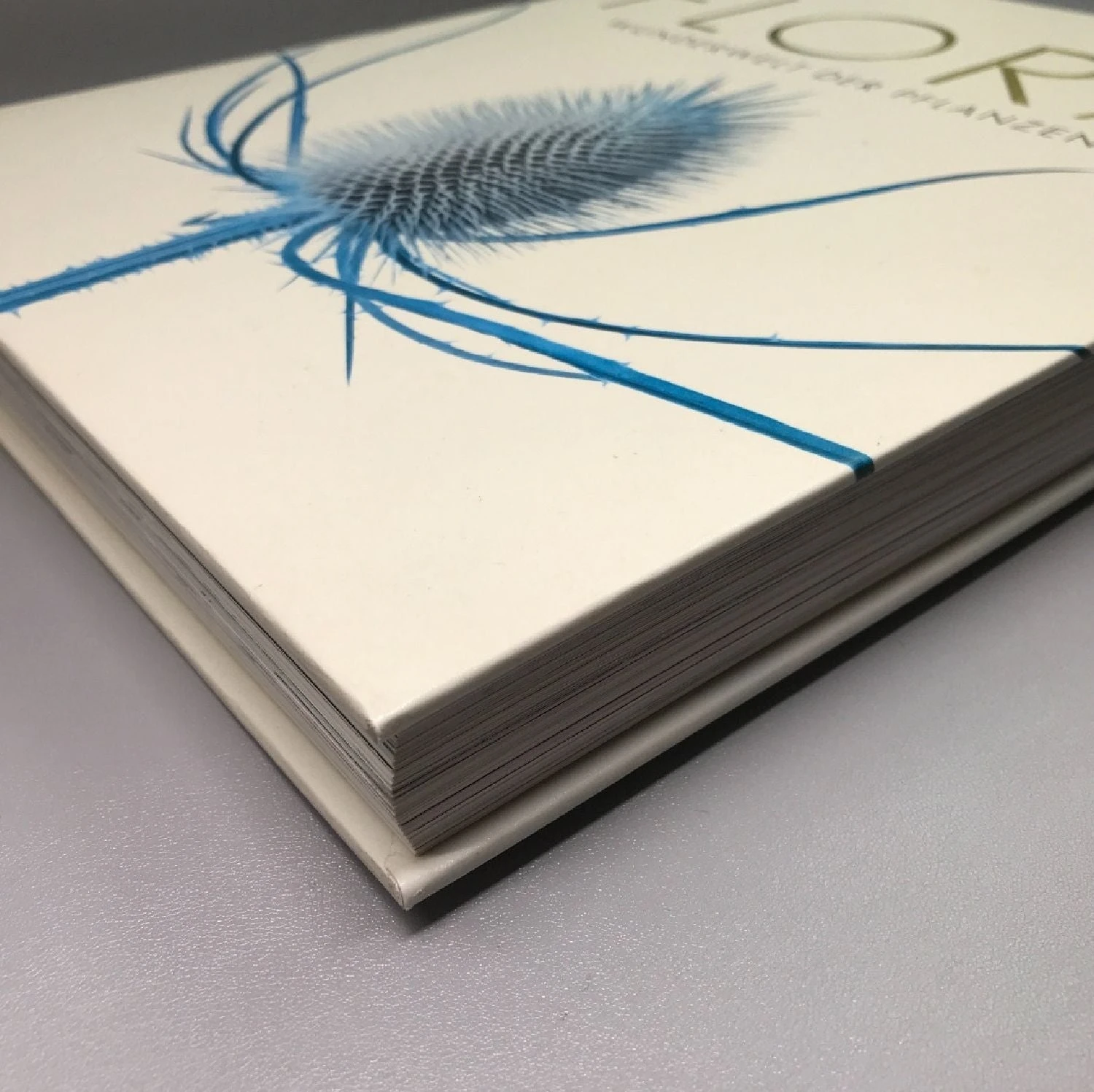 Flora (Wunderwelt Der Pflanzen) 4 Flora (Wunderwelt Der Pflanzen) – Bild 2