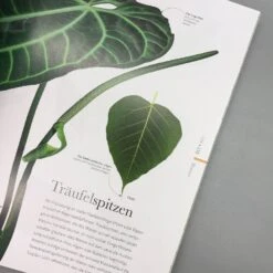 Flora (Wunderwelt Der Pflanzen) 13 Flora (Wunderwelt Der Pflanzen) -Günstiges Pflanzen Land Geschäft 27612 Flora Wunderwelt 20der 20Pflanzen 7