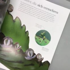 Flora (Wunderwelt Der Pflanzen) 14 Flora (Wunderwelt Der Pflanzen) -Günstiges Pflanzen Land Geschäft 27612 Flora Wunderwelt 20der 20Pflanzen 8