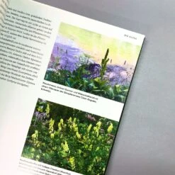 Wild Garden (Sven Nürnberger) -Günstiges Pflanzen Land Geschäft 27783 Wild 20Garden Sven 20Nuernberger 4