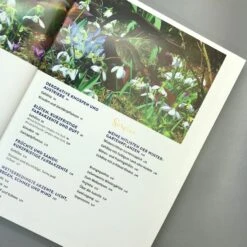 Lebendige Gärten Im Winter (Iris Frey) -Günstiges Pflanzen Land Geschäft 27951 Lebendige 20Gaerten 20im 20Winter Iris 20Frey 3