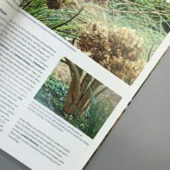 Lebendige Gärten Im Winter (Iris Frey) -Günstiges Pflanzen Land Geschäft 27951 Lebendige 20Gaerten 20im 20Winter Iris 20Frey 5