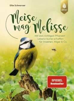 Meise Mag Melisse (Elke Schwarzer) -Günstiges Pflanzen Land Geschäft 28446 Meise 20mag 20Melisse Elke 20Schwarzer 1