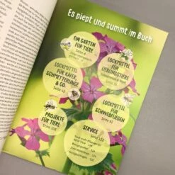 Meise Mag Melisse (Elke Schwarzer) -Günstiges Pflanzen Land Geschäft 28446 Meise 20mag 20Melisse Elke 20Schwarzer 4