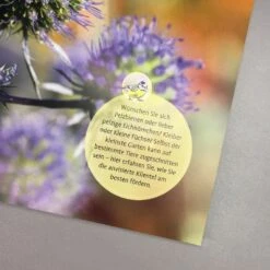 Meise Mag Melisse (Elke Schwarzer) -Günstiges Pflanzen Land Geschäft 28446 Meise 20mag 20Melisse Elke 20Schwarzer 5