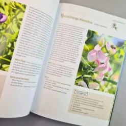 Mein Bienengarten, Erweiterte Auflage (Elke Schwarzer) -Günstiges Pflanzen Land Geschäft 28879 Mein 20Bienengarten 20erweiterte 20Auflage Elke 20Schwarzer 5 c15494a2 d75c 486c 8ff3 9973a482fca0