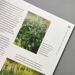 Heimische Wildstauden (Peter Steiger) -Günstiges Pflanzen Land Geschäft 28882 Heimische 20Wildstauden Peter 20Steiger 6