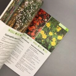 Taschenatlas Stauden (Heissel/Haberer) 9 Taschenatlas Stauden (Heissel/Haberer) -Günstiges Pflanzen Land Geschäft 28887 Taschenatlas 20Stauden HeisselHaberer 4