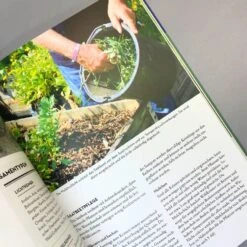 Kräuter Im Hochbeet (Bohne, Burkhard) -Günstiges Pflanzen Land Geschäft 29107 Kraeuter 20im 20Hochbeet Bohne 20Burkhard 5