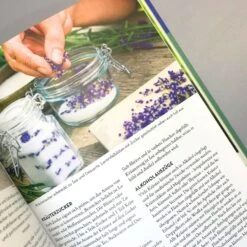 Kräuter Im Hochbeet (Bohne, Burkhard) -Günstiges Pflanzen Land Geschäft 29107 Kraeuter 20im 20Hochbeet Bohne 20Burkhard 6