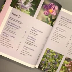 Robuste Schönheiten Für Den Garten (Ina Timm) -Günstiges Pflanzen Land Geschäft 29364 Robuste 20Schoenheiten 20fuer 20den 20Garten Ina 20Timm 4