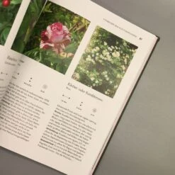 Robuste Schönheiten Für Den Garten (Ina Timm) -Günstiges Pflanzen Land Geschäft 29364 Robuste 20Schoenheiten 20fuer 20den 20Garten Ina 20Timm 6