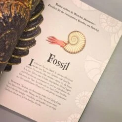 Wundervolle Welt Der Natur (Ben Hoare) -Günstiges Pflanzen Land Geschäft 30469 Wundervolle 20Welt 20der 20Natur Ben 20Hoare 5