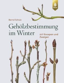 Gehölzbestimmung Im Winter (Bernd Schulz) -Günstiges Pflanzen Land Geschäft 30673 Gehoelzbestimmung 20im 20Winter Bernd 20Schulz 1
