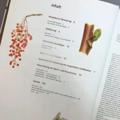 Gehölzbestimmung Im Winter (Bernd Schulz) -Günstiges Pflanzen Land Geschäft 30673 Gehoelzbestimmung 20im 20Winter Bernd 20Schulz 4