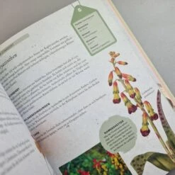 Zwiebelpflanzen Und Knollenblumen (Richard Wilford) -Günstiges Pflanzen Land Geschäft 30700 Zwiebelpflanzen 20und 20Knollenblumen Richard 20Wilford 5