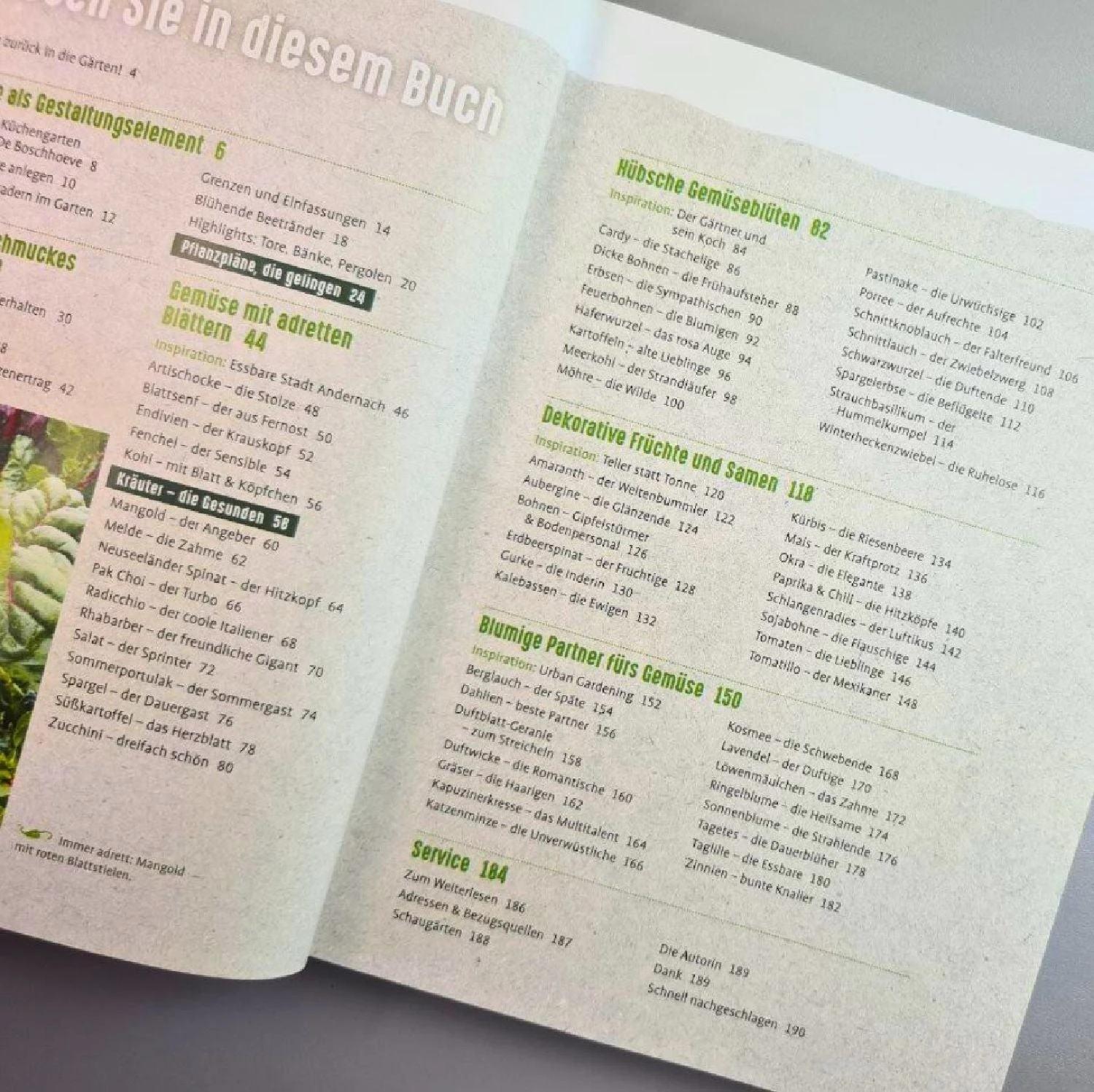 Gemüse Ins Blumenbeet (Heidi Lorey) 6 Gemüse Ins Blumenbeet (Heidi Lorey) – Bild 4