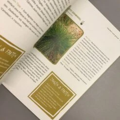 Garten Ohne Gießen (Anette Lepple) -Günstiges Pflanzen Land Geschäft 31512 Garten 20ohne 20Giessen Anette 20Lepple 6