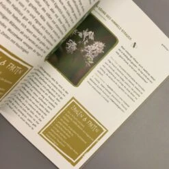 Garten Ohne Gießen (Anette Lepple) -Günstiges Pflanzen Land Geschäft 31512 Garten 20ohne 20Giessen Anette 20Lepple 7