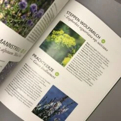 Trockenhelden Naturnah Gärtnern (Simone Kern) 12 Trockenhelden Naturnah Gärtnern (Simone Kern) -Günstiges Pflanzen Land Geschäft 31651 Trockenhelden 20Naturnah 20gaertnern Simone 20Kern 5