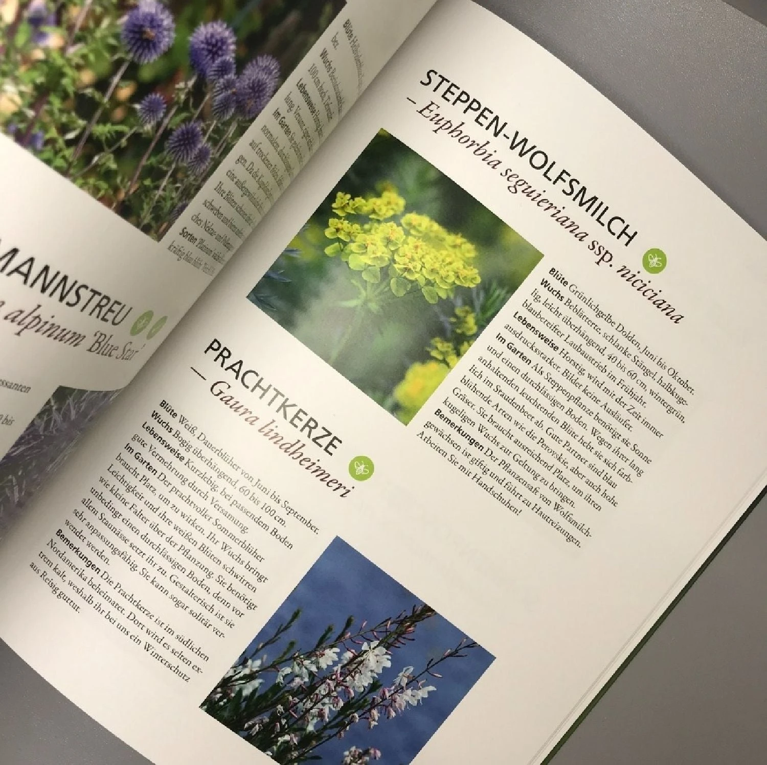 Trockenhelden Naturnah Gärtnern (Simone Kern) 7 Trockenhelden Naturnah Gärtnern (Simone Kern) – Bild 5