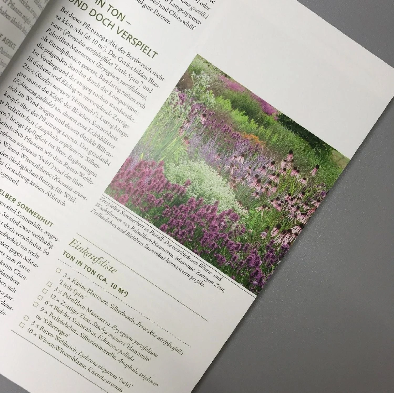 Trockenhelden Naturnah Gärtnern (Simone Kern) 8 Trockenhelden Naturnah Gärtnern (Simone Kern) – Bild 6