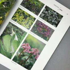 Mein Garten Im Wandel (Peter Janke) -Günstiges Pflanzen Land Geschäft 31929 Mein 20Garten 20im 20Wandel Peter 20Janke 4