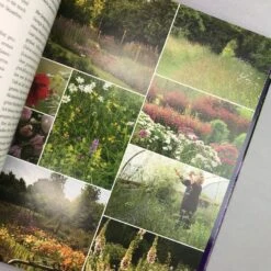 Die Geheimen Gärten Von Somerset (Abigail Willis) 9 Die Geheimen Gärten Von Somerset (Abigail Willis) -Günstiges Pflanzen Land Geschäft 31945 Die 20Geheimen 20Gaerten 20von 20Somerset Abigail 20Willis 4