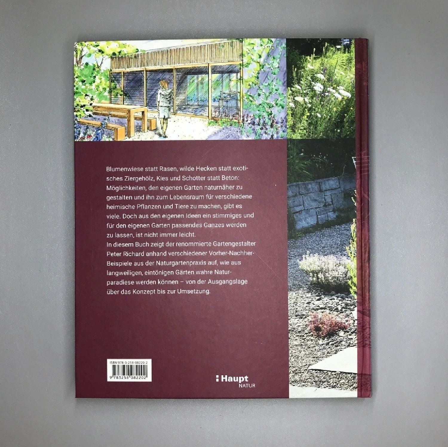 Wege Zum Naturgarten (Peter Richard) 5 Wege Zum Naturgarten (Peter Richard) – Bild 3