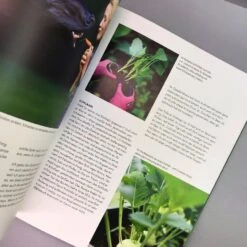 Home Farming (Judith Rakers) -Günstiges Pflanzen Land Geschäft 31997 Home 20Farming Judith 20Rakers 6