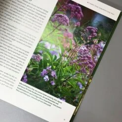 Wilde Wiesen Gestalten (Katrin Lugerbauer) -Günstiges Pflanzen Land Geschäft 32038 Wilde 20Wiesen 20gestalten Katrin 20Lugerbauer 5