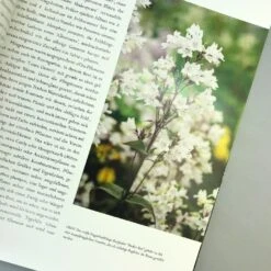 Sissinghurst Der Traumgarten (Tim Richardson) -Günstiges Pflanzen Land Geschäft 32737 Sissinghurst 20Der 20Traumgarten Tim 20Richardson 5