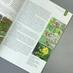 Gemüse Ernten Ohne Gießen (Christine Weidenweber) -Günstiges Pflanzen Land Geschäft 32987 Gemuese 20ernten 20ohne 20giessen Christine 20Weidenweber 4