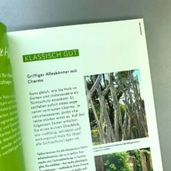 Schöner Sichtschutz Selbst Gemacht (Lars Weigelt) -Günstiges Pflanzen Land Geschäft 32989 Schoener 20Sichtschutz 20selbst 20gemacht Lars 20Weigelt 6