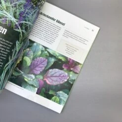 Blattschönheiten (Robert Sulzberger & Tobias Mayerhofer) -Günstiges Pflanzen Land Geschäft 32990 Blattschoenheiten Robert 20Sulzberger 20 20Tobias 20Mayerhofer 5