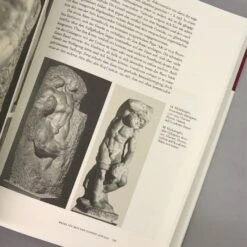 Michelangelo (Horst Bredekamp) -Günstiges Pflanzen Land Geschäft 33381 Michelangelo Horst 20Bredekamp 4