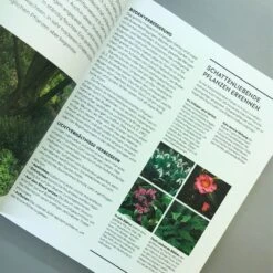 Richtig Gut Gärtnern (RHS Royal Horticulture Society) -Günstiges Pflanzen Land Geschäft 34294 Richtig 20gut 20Gaertnern RHS 20Royal 20Horticulture 20Society 6