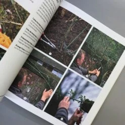 Richtig Gut Gärtnern (RHS Royal Horticulture Society) -Günstiges Pflanzen Land Geschäft 34294 Richtig 20gut 20Gaertnern RHS 20Royal 20Horticulture 20Society 7