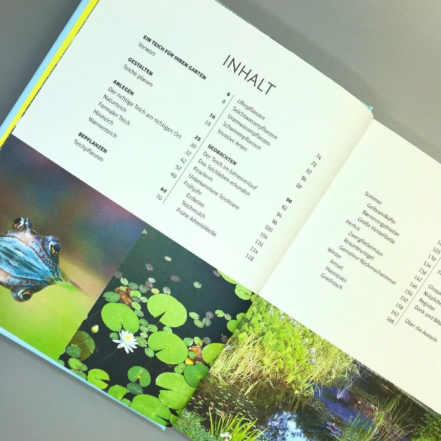 Leben Am Gartenteich (Kate Bradbury) 5 Leben Am Gartenteich (Kate Bradbury) – Bild 3