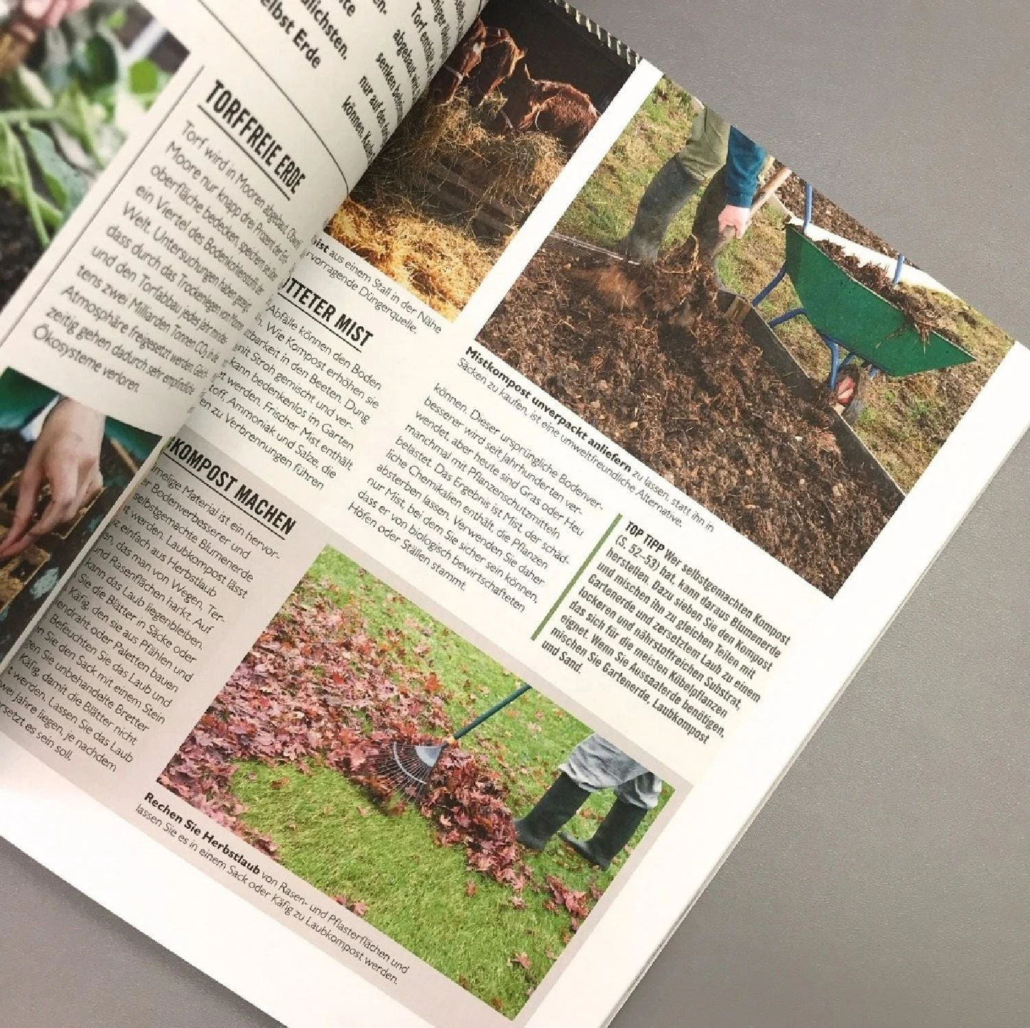 Ökologisch Gärtnern (Grünes Garten Wissen) 6 Ökologisch Gärtnern (Grünes Garten Wissen) – Bild 4