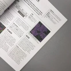 Pflanzen Im Topf (Grünes Garten Wissen) -Günstiges Pflanzen Land Geschäft 34299 Pflanzen 20im 20Topf Gruenes 20Garten 20Wissen 5