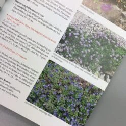 Wächst Fast Ohne Wasser (Aurélien Davroux) -Günstiges Pflanzen Land Geschäft 34690 Waechst 20fast 20ohne 20Wasser Aurlien 20Davroux 6