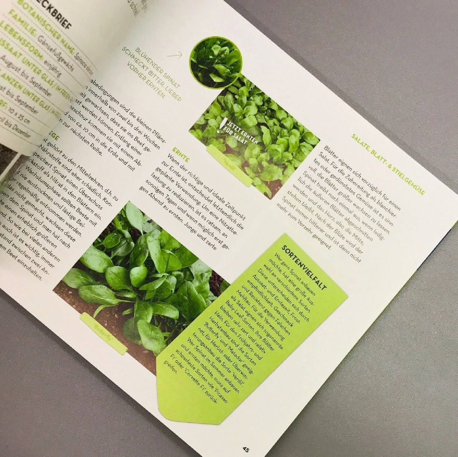 Was Mache Ich Wann Im Gemüsegarten? (Otmar Diez) 7 Was Mache Ich Wann Im Gemüsegarten? (Otmar Diez) – Bild 5