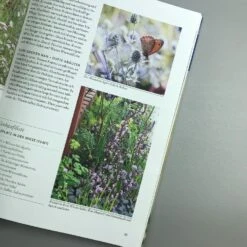 Wild Und Bunt (Naturnahe Gärten) -Günstiges Pflanzen Land Geschäft 34785 Wild 20und 20Bunt Naturnahe 20Gaerten 4 2006667a 7050 4d14 88ee 9f2b67e89403