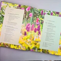 Robuste Traumbeete Gestalten (Ina Timm, Sylvia Knittel) -Günstiges Pflanzen Land Geschäft 34925 Robuste 20Traumbeete 20gestalten Ina 20Timm 20Sylvia 20Knittel 3 ddab70a1 e554 4924 892a c59176326575