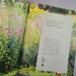 Robuste Traumbeete Gestalten (Ina Timm, Sylvia Knittel) -Günstiges Pflanzen Land Geschäft 34925 Robuste 20Traumbeete 20gestalten Ina 20Timm 20Sylvia 20Knittel 5 f07f7277 99f6 4216 bddf 0654d8348592