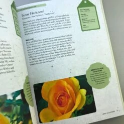 ROSEN | PFLANZEN, PFLEGEN, VERMEHREN (Tony Hall) -Günstiges Pflanzen Land Geschäft 35139 ROSEN 20 20PFLANZEN 20PFLEGEN 20VERMEHREN Tony 20Hall 6